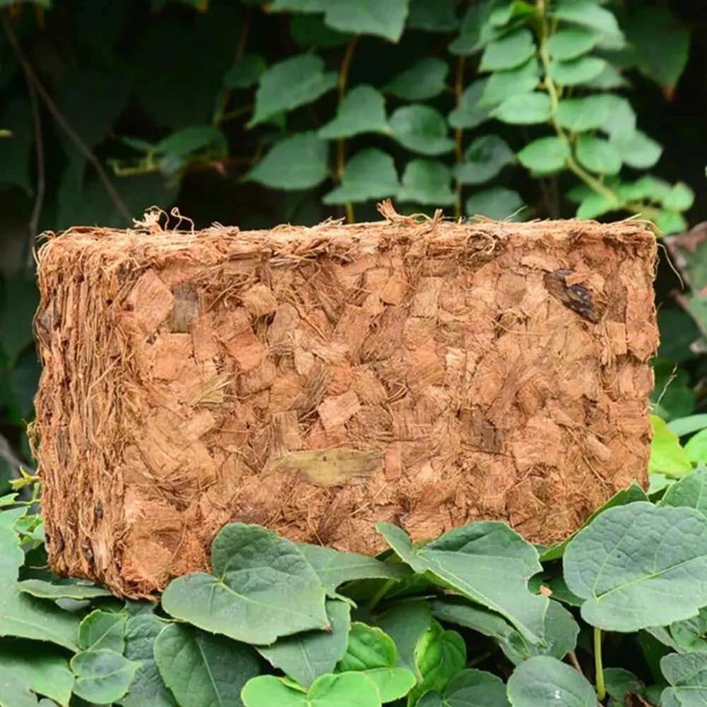 500g Coconut Fiber Brick Good Water Absorption Great Root Protective  For Flower Plants Growing