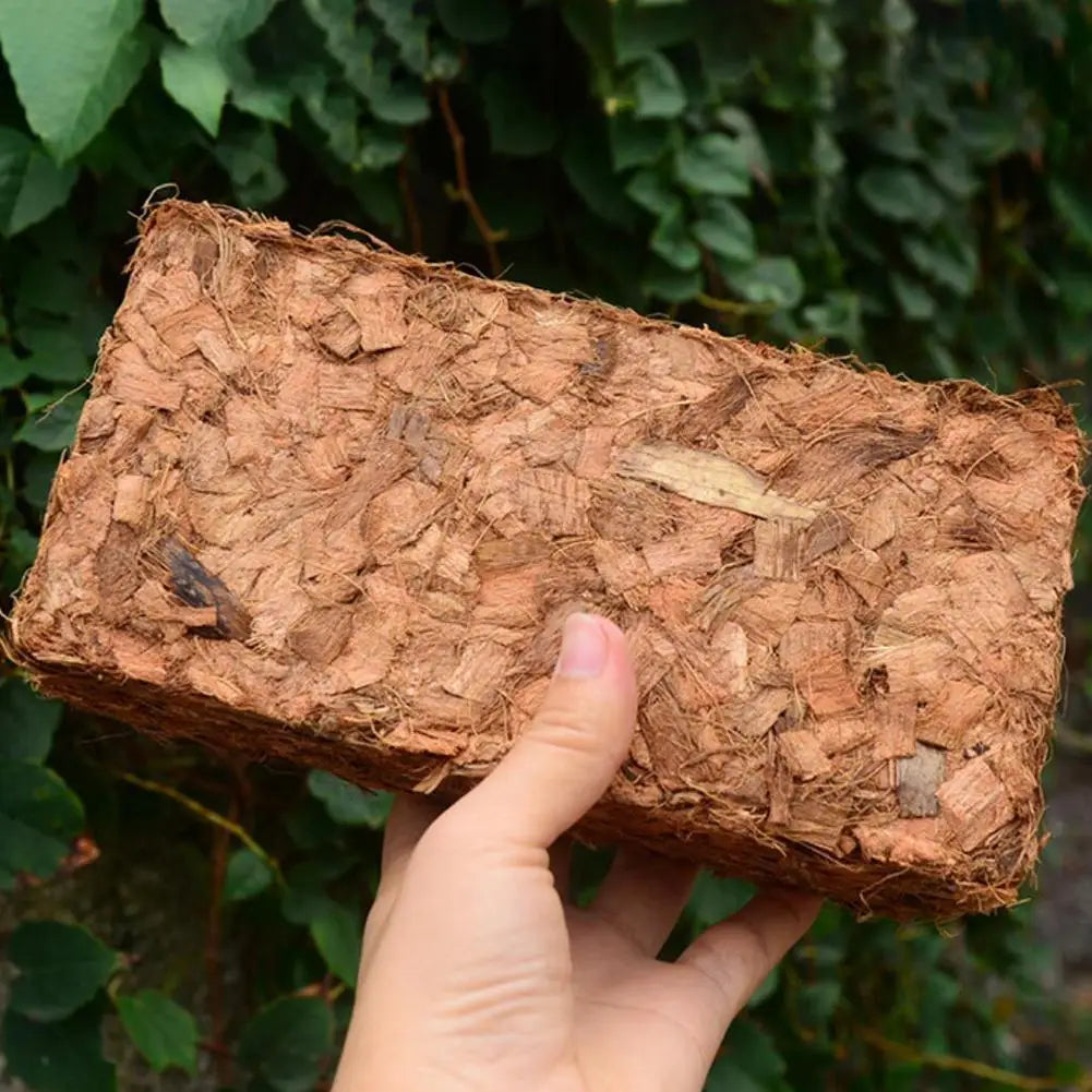 500g Coconut Fiber Brick Good Water Absorption Great Root Protective  For Flower Plants Growing