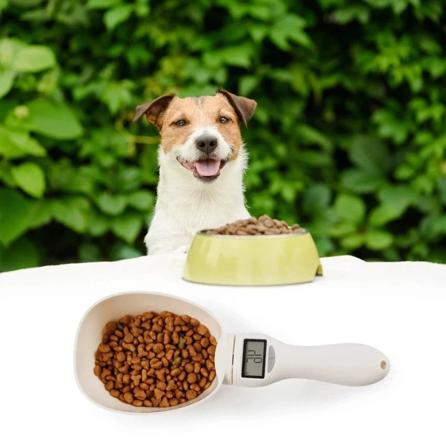 Pet Dog Food Scale Spoon LCD Display Cat Feeding Bowl Measuring Meter Pet Supplies Weighing Measure Spoon Digital Display