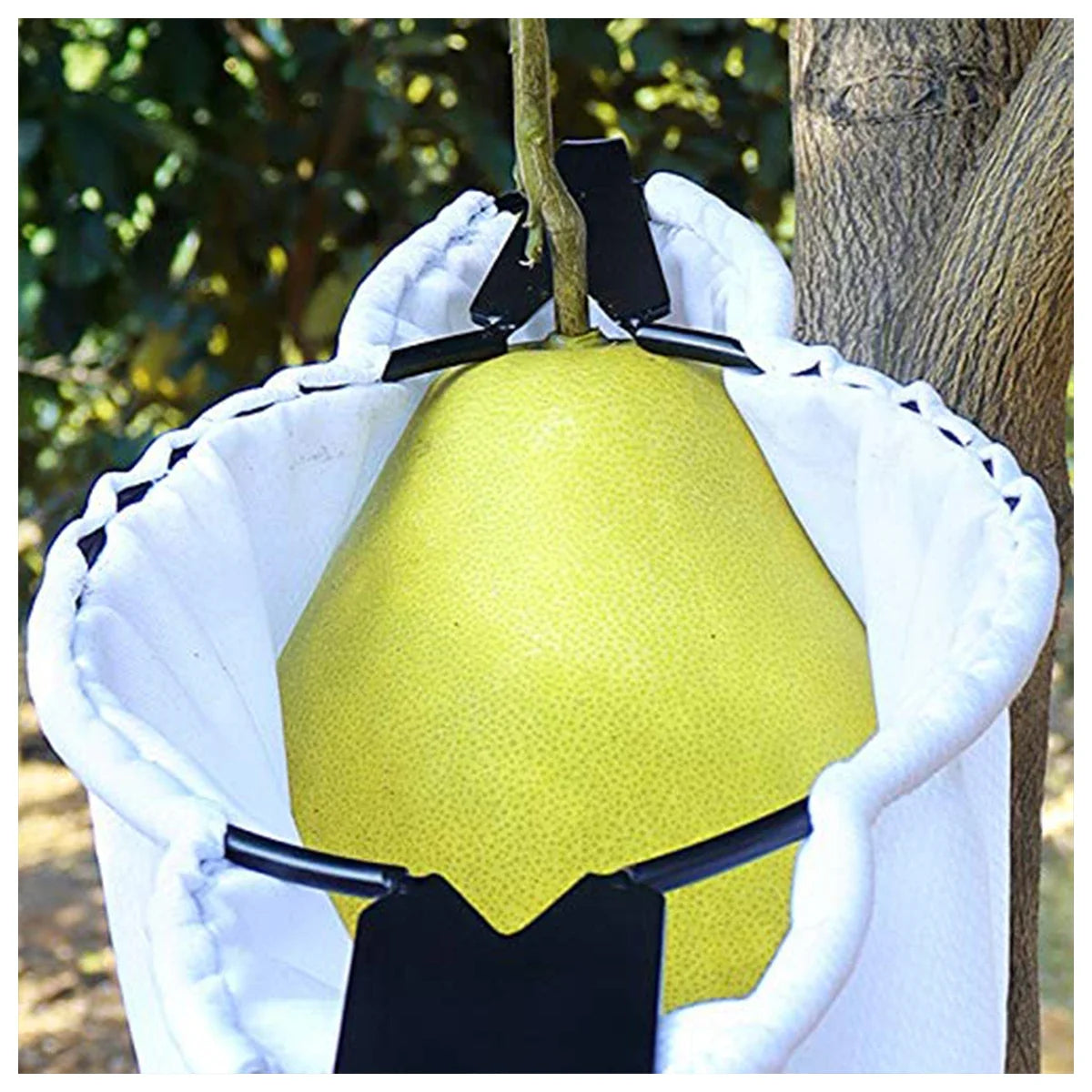 Fruit Picker Head Harvest Basket Fruit Picking Tools 2 V-Shaped Blades Large Elastic Bag Fruits Catcher for Garden Picking Pear